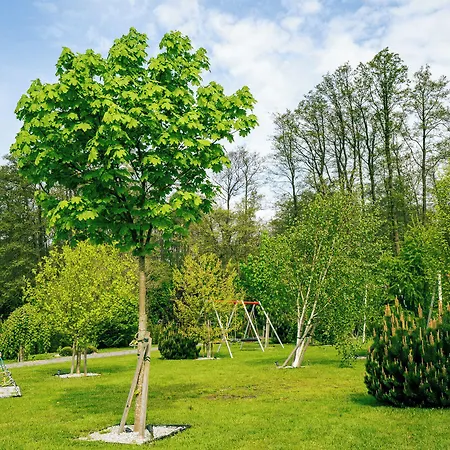 Mielenko & Ex Baltin