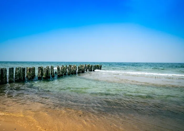 Mielenko & Ex Baltin *