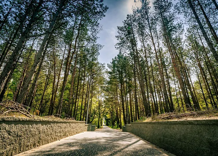 Resort Mielenko & Ex Baltin *