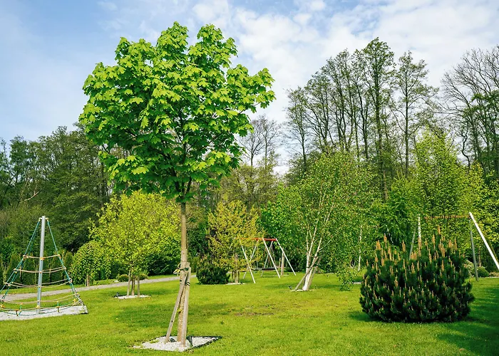 Mielenko & Ex Baltin